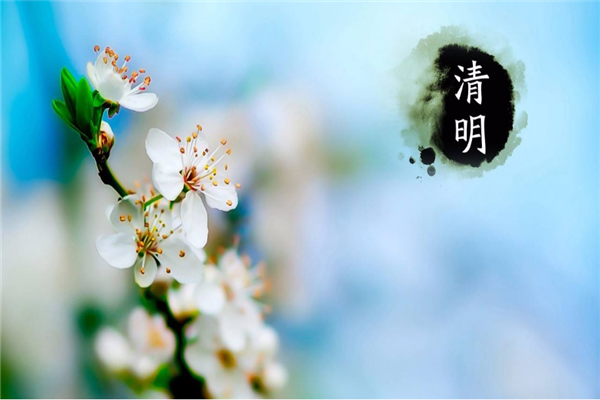 98098j彩票网喷塑设备厂家 | 清明时节哀思中蕴含着希望