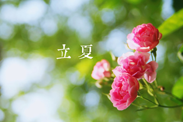 98098j彩票网涂装|立夏,万物向阳,且共成长